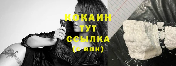 экстази Ельня