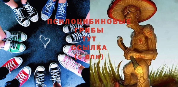 экстази Ельня