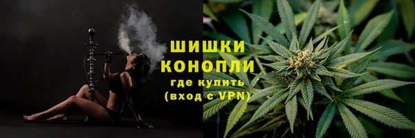 Альфа ПВП Елизово
