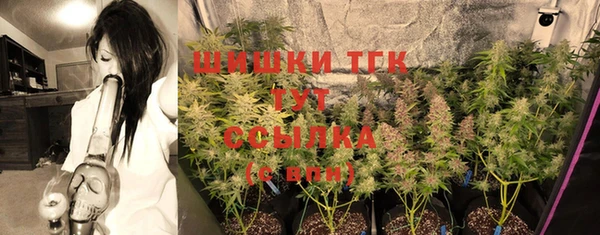 Альфа ПВП Елизово