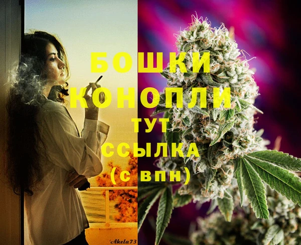 экстази Ельня