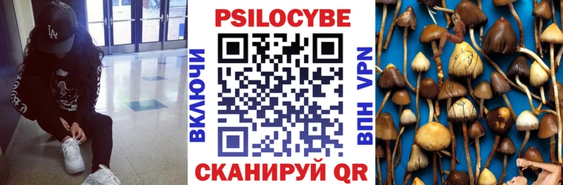 Галлюциногенные грибы Psilocybine cubensis  Звенигово 